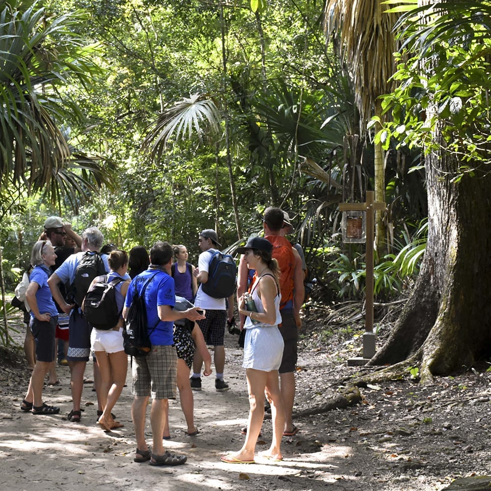 Tour a Tikal en grupo
