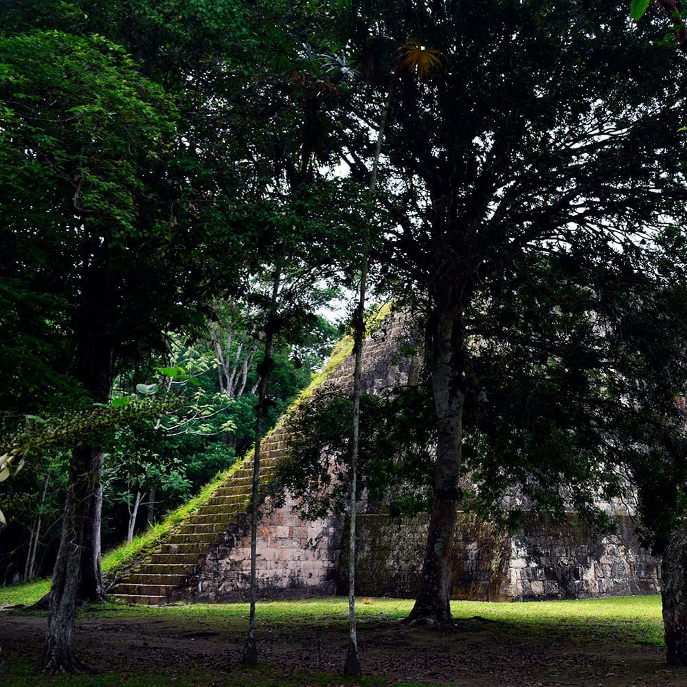 Tour a Tikal Atardecer
