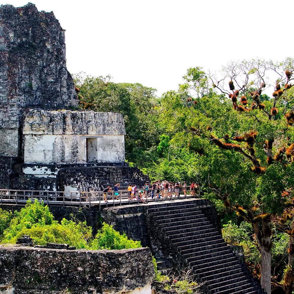Tikal Grupal un dia
